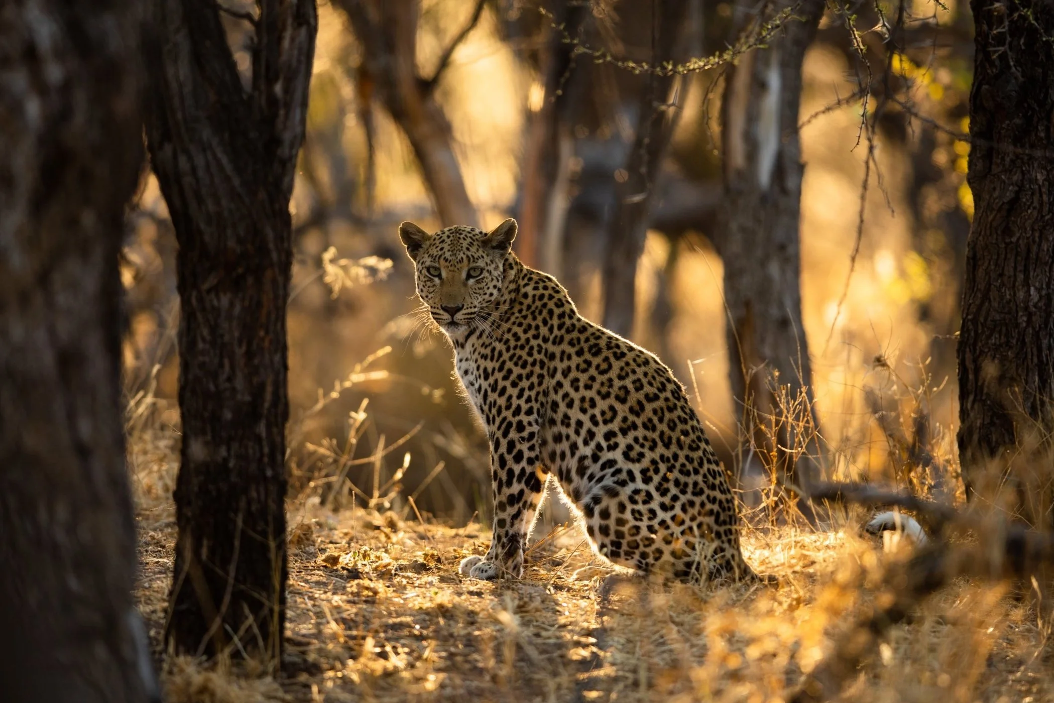 Namibia 2026 — Andy Mumford Photography